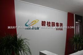 湖南碧桂园爆料最新消息,揭秘项目进展与未来规划  第2张