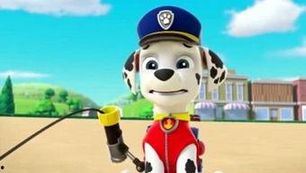 娱乐吃瓜君汪汪,揭秘娱乐圈那些不为人知的幕后故事