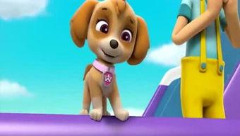 娱乐吃瓜君汪汪,揭秘娱乐圈那些不为人知的幕后故事  第2张