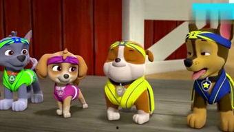 娱乐吃瓜君汪汪,揭秘娱乐圈那些不为人知的幕后故事  第3张